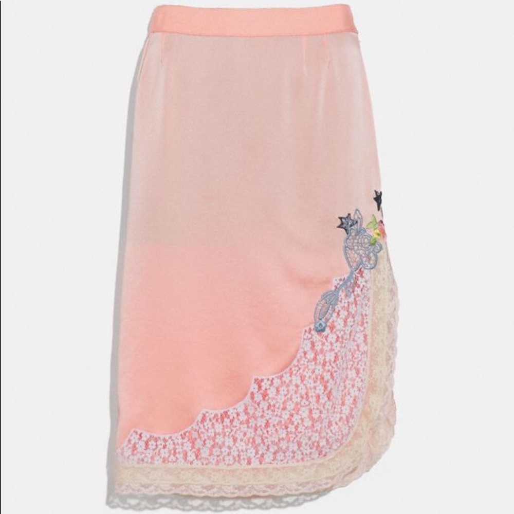 Selena lace detailed skirt.